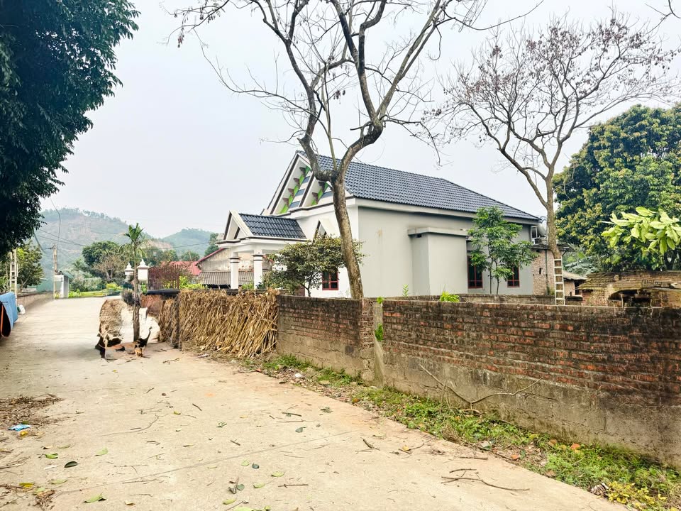 Bán Đất Vĩnh Yên 309m² Nở Hậu - Gần Đường 32, Sân Golf Văn Lang