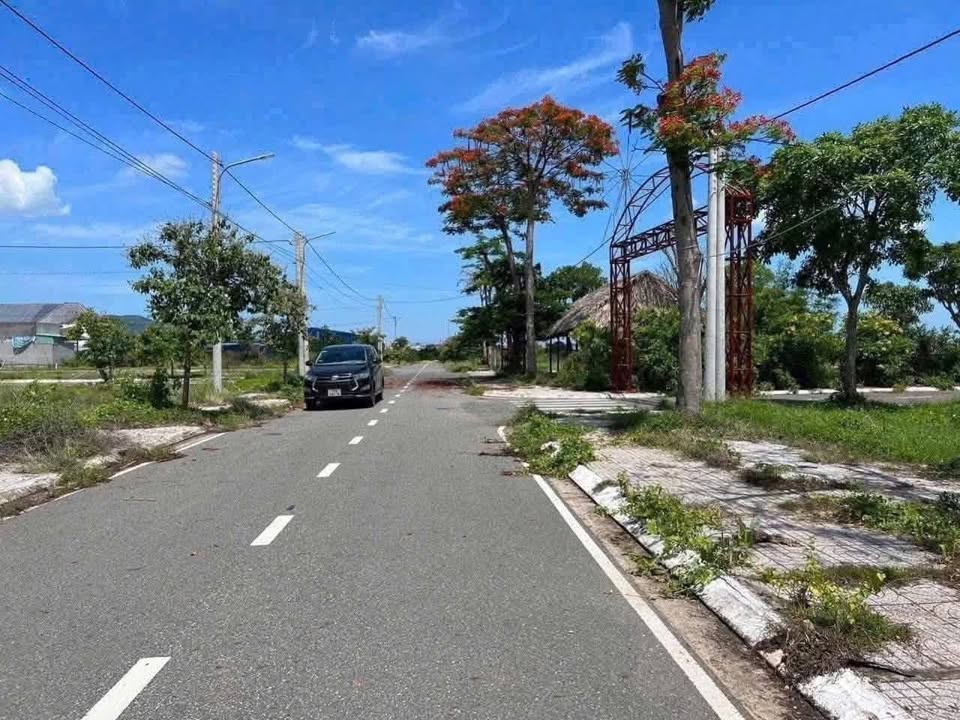 Bà Rịa - Vũng Tàu: 2 Lô Đất Thổ Cư 100m² Mặt Tiền Đường Nhựa, Giá 1.65 Tỷ/Lô