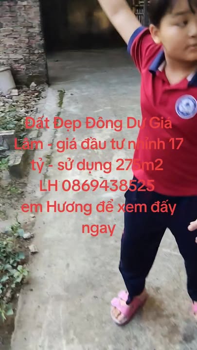 Đất Vàng Đông Dư, Gia Lâm 250m² - Đầu Tư Phân Lô Siêu Lời