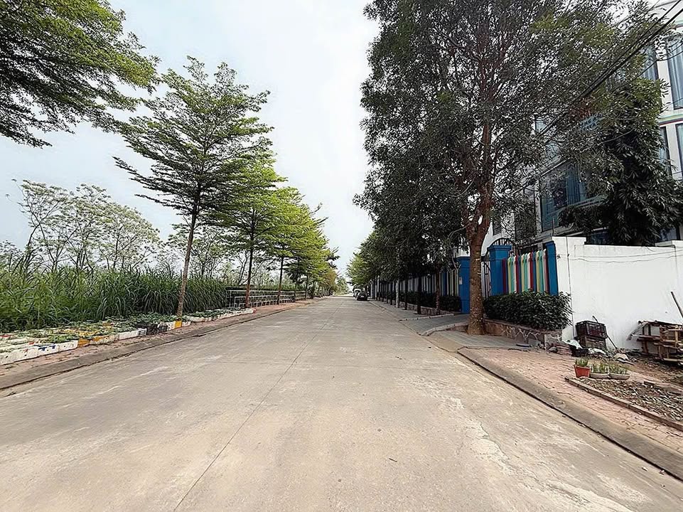 Đất Nền Hạ Bạn, Cẩm Khê 110m² Hướng Đông - Đầu tư Sinh lời