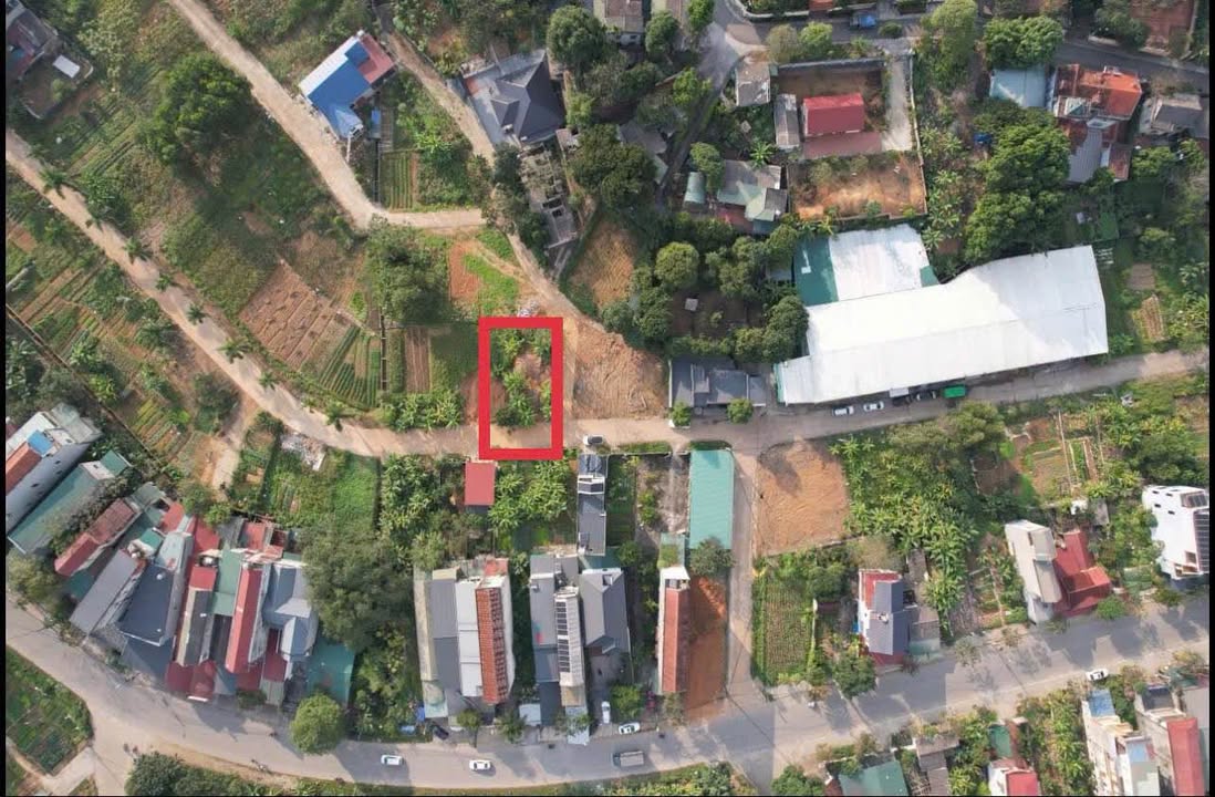 Đất nền Muzin - Tiên Kiên, Phú Thọ: 245m², 2 mặt tiền, giá tốt