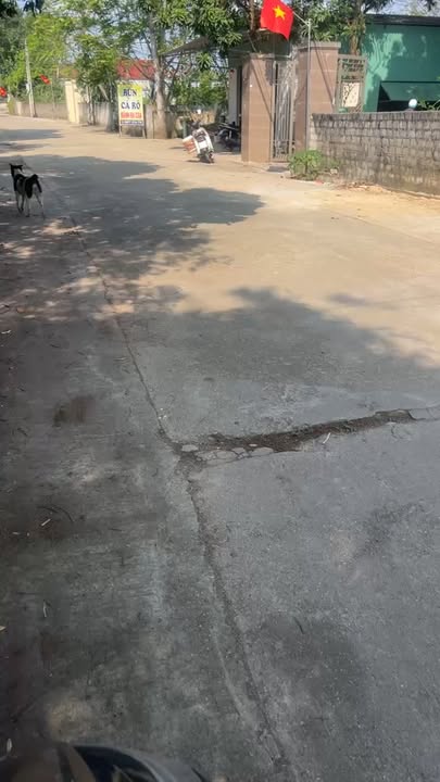 Đất Nền Thị xã Thái Hòa 140m² - Sẵn Sàng Xây Dựng