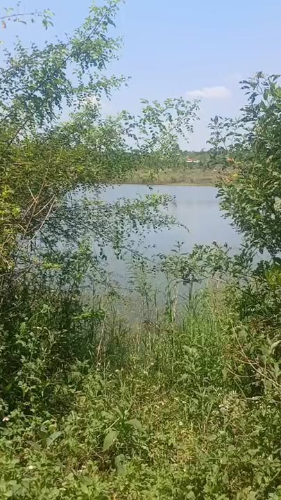 Bán Đất Vườn 3900m² Đồng Nai - Góc 2 Mặt Tiền Đường Đất