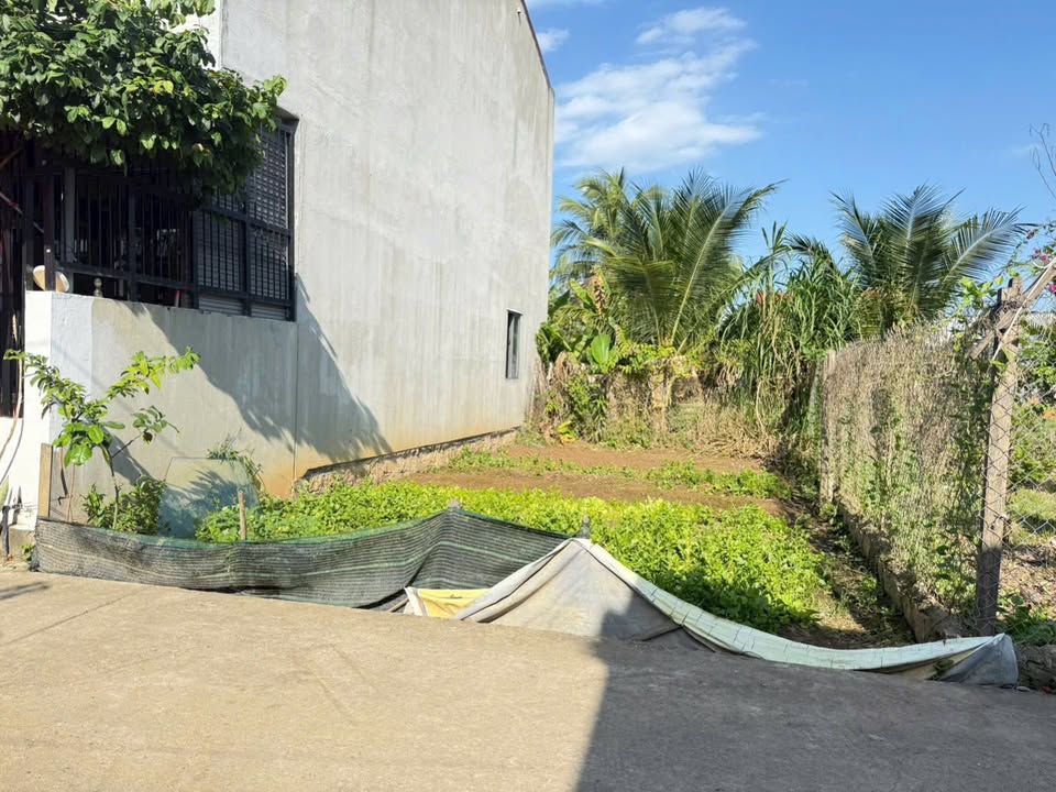 Bán đất Diên An 60m² - Sổ hồng riêng, gần đường 23/10