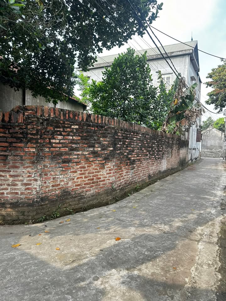 Bán Đất Nền 80m² Xã Cẩm Đình, Phúc Thọ - Sổ Đỏ Sẵn Sàng, Giá Tốt