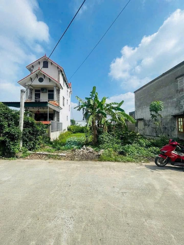 Đất nền Trục Xã Vũ Lễ, Kiến Thụy - 80m² Hướng Tây Nam - Giá Đầu Tư