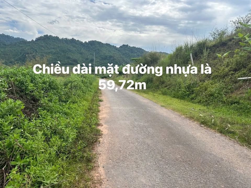 Đất nền Hòa Bình 2500m² - View đồng lúa đẹp, giá 750 triệu