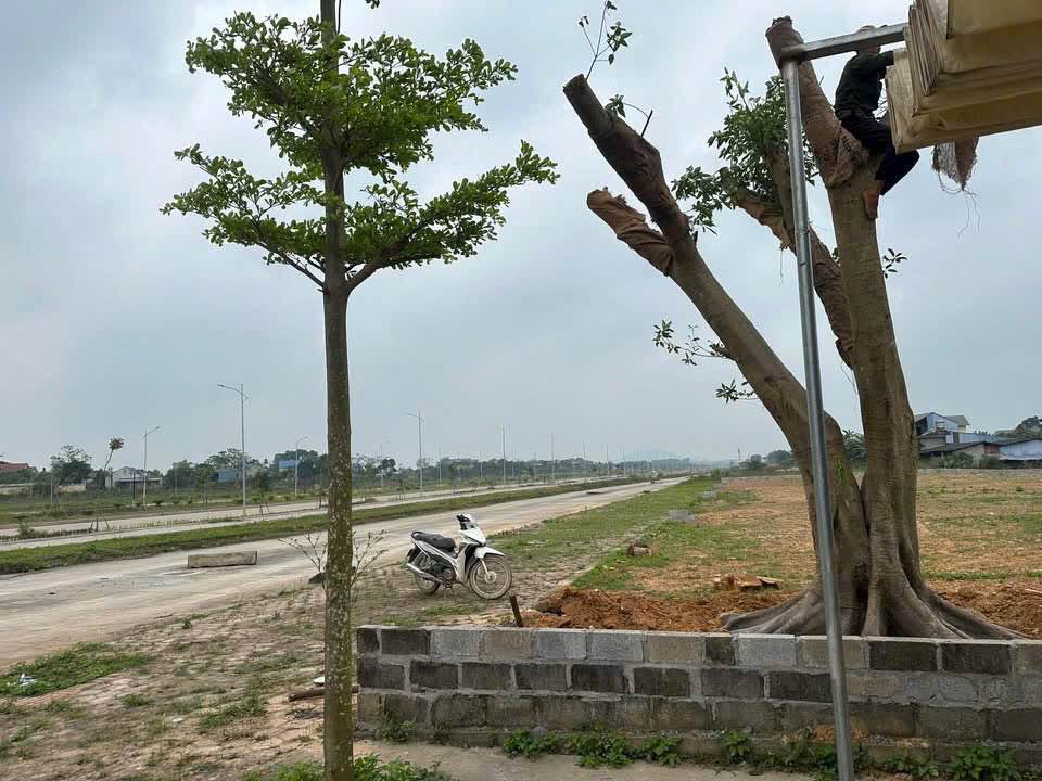 Đất Kinh Doanh Mặt Tiền Bắc Sơn, Thái Nguyên 410m² - Giá Tốt