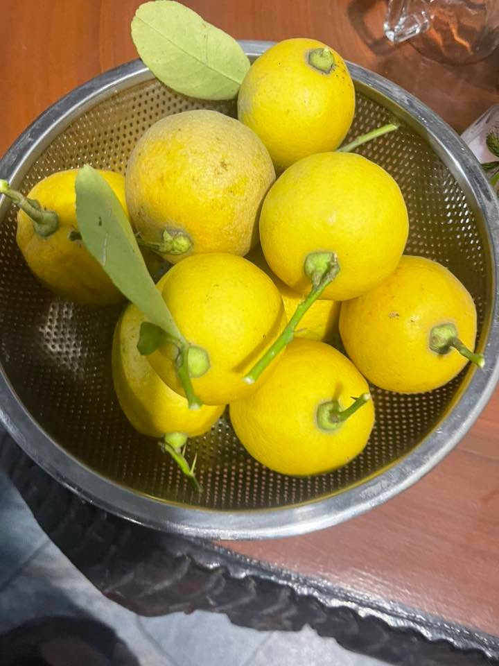 Đất Nền Trung Tâm Đô Thị Dũng Liệt 81m² - Sổ Đỏ Sẵn Sàng