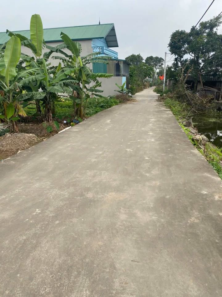 Đất Nền Gia Bình 109m² - Lô Góc Giá Tốt, Kinh Doanh Sầm Uất