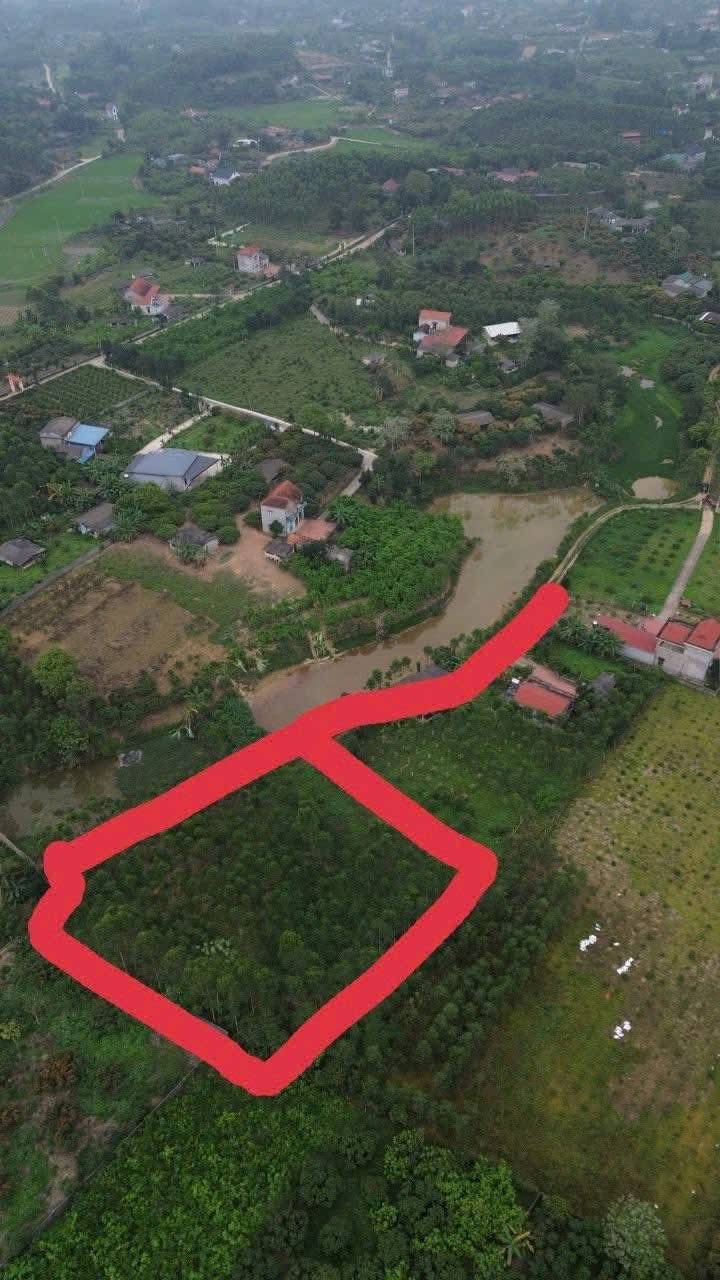 Đất Vườn Bắc Ninh 2500m² - Sổ Đỏ Thổ Cư, Giá 1 Tỷ - Đầu Tư Sinh Lời