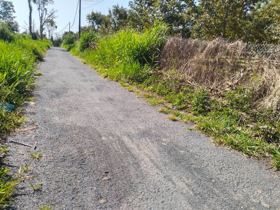 Bán Gấp Vườn Trái Cây 10.000m² Tại Bảo Lâm, Lâm Đồng - Sổ Đỏ Riêng, Giá 8 Tỷ