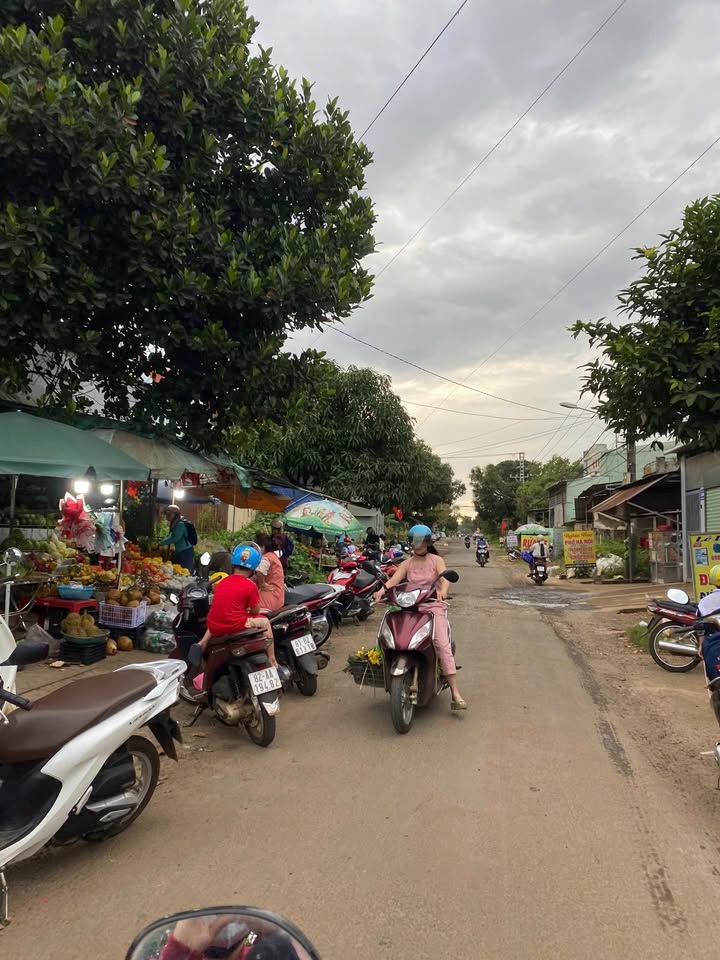 Mặt Tiền Âu Cơ Quy Nhơn - Kinh Doanh Sầm Uất, 160m², Giá 3 Tỷ