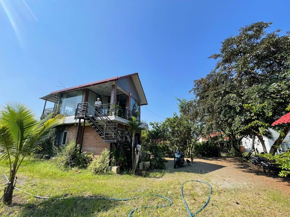 Bán Gấp Nhà Vườn Trái Cây 3156m² Sổ Hồng Tại Dầu Giây, Đồng Nai