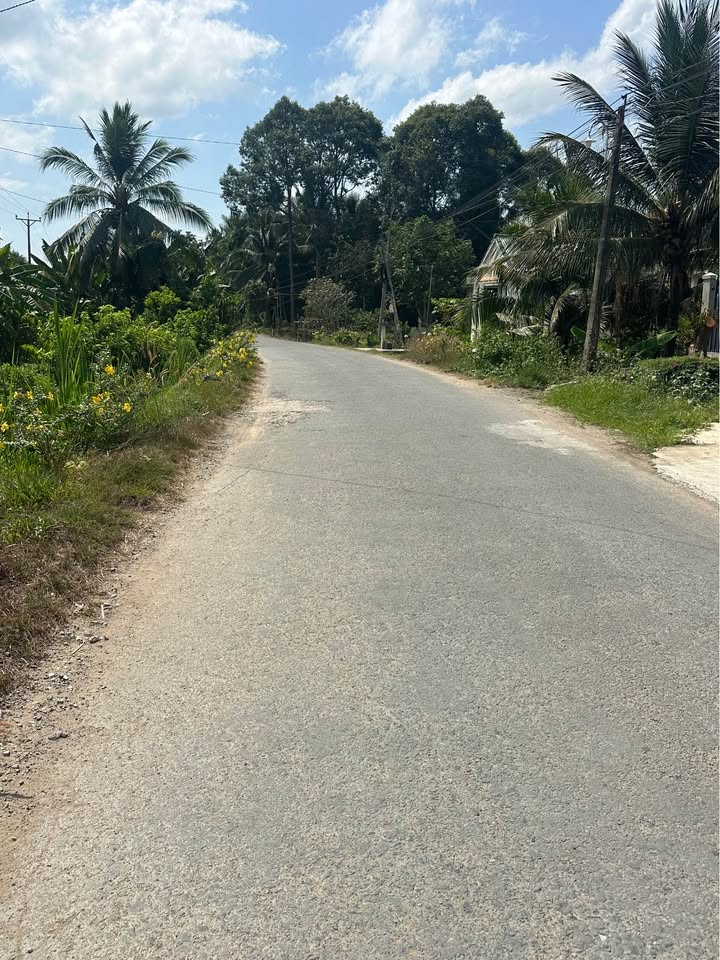 Bán Đất Mặt Tiền Đường 10 Tấn, Vũng Liêm, Vĩnh Long - 722m² Giá 1.05 Tỷ