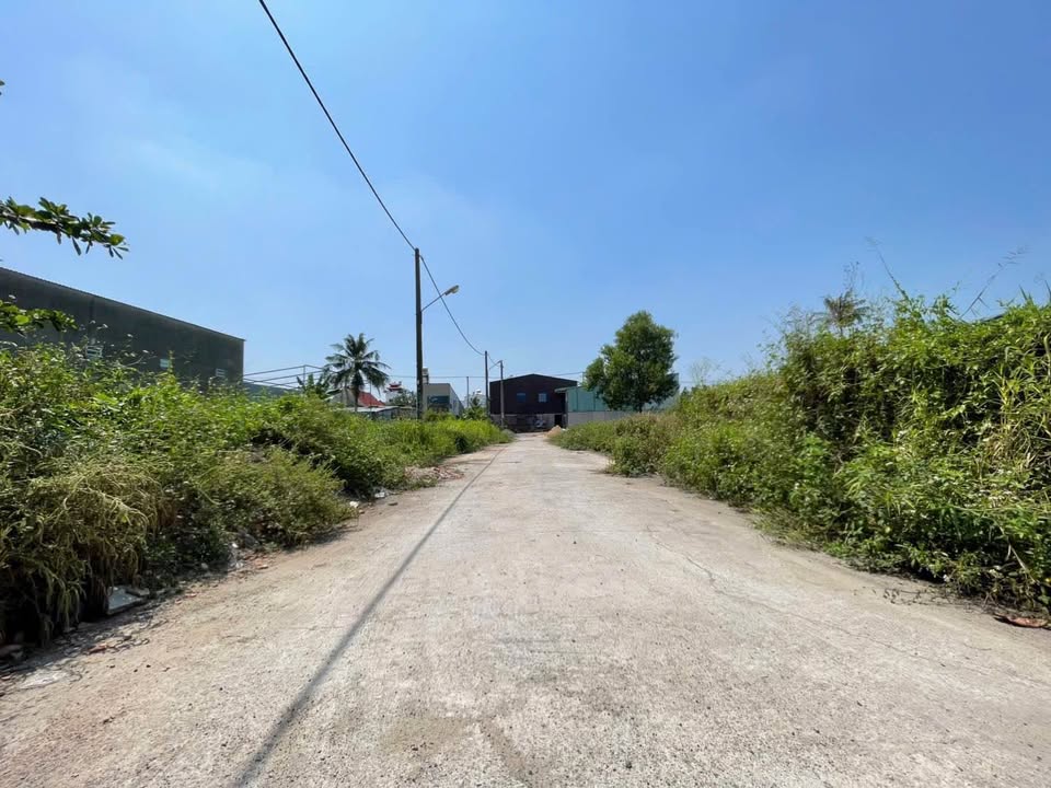 Đất Thổ Cư 65m² Quận 12 - Đường 7m, Gần Trường THCS Tô Ngọc Vân