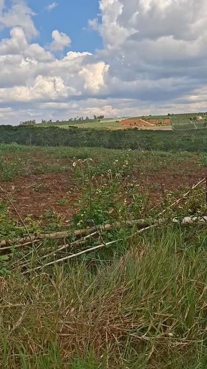 Đất Vườn 513m² Lâm Hà, Lâm Đồng - Gần Đồi Chè Long Đỉnh, Giá Thỏa Thuận