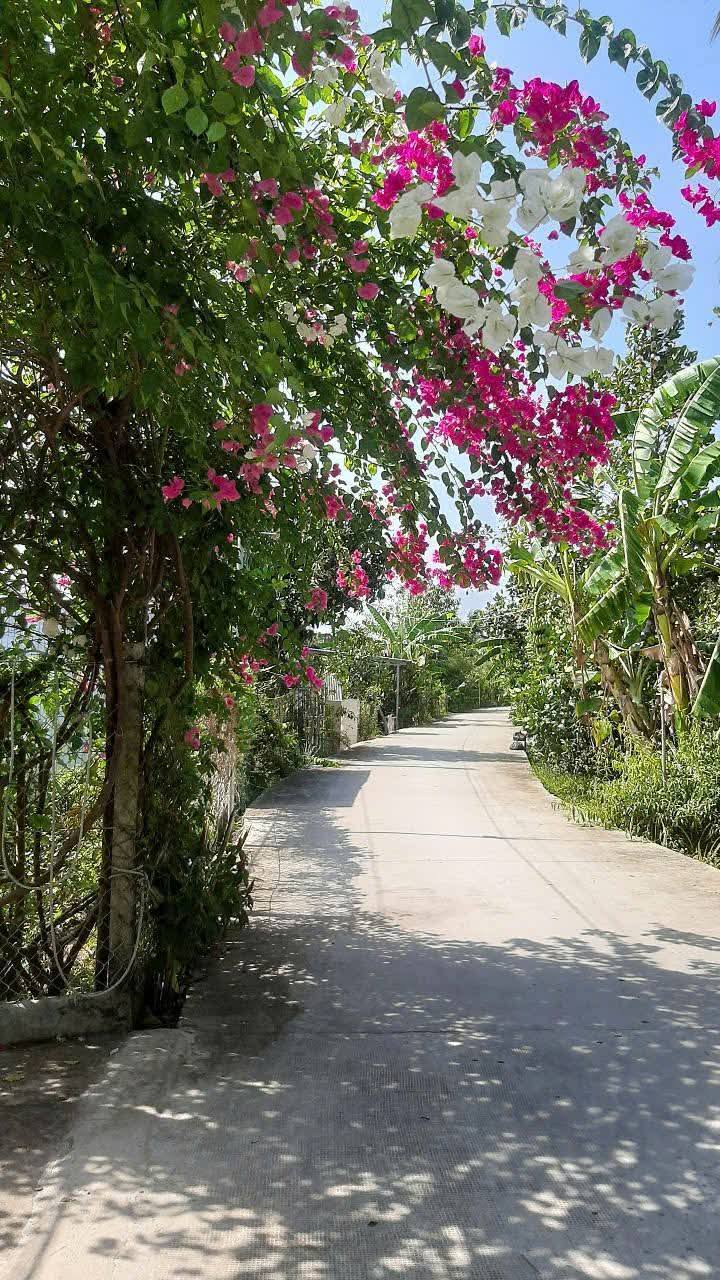 Bán Gấp Farm Nghỉ Dưỡng 641m² Cần Thơ - View Sông Thoáng Mát