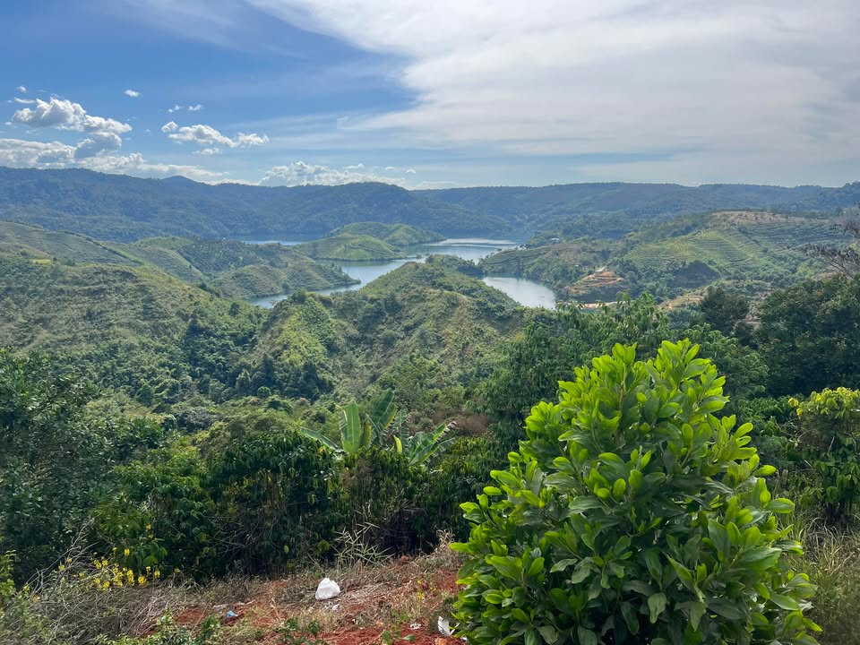 Nhà 312m² Đào Duy Từ Nối Dài, Ea Yông - Giá 5.9 Tỷ, Sẵn Sàng Dọn Vào