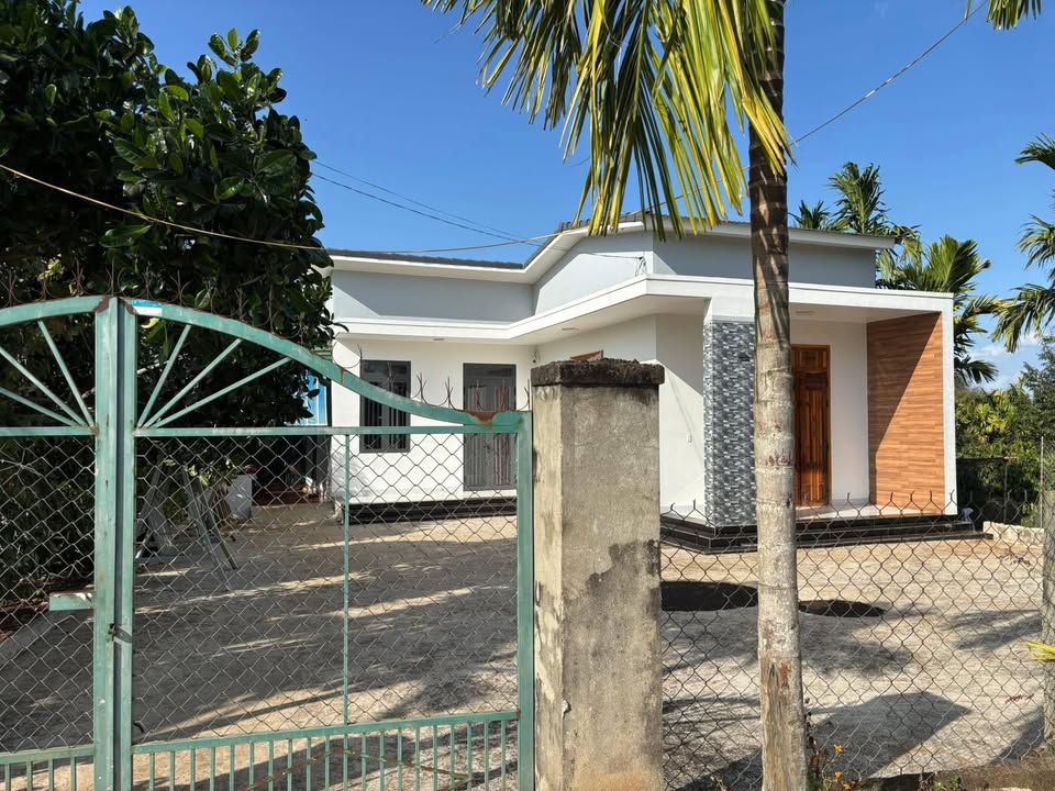 Bán đất Vườn 3236m² Krông Pắc - View Ruộng Mát Mẻ, Sẵn Sàng Xây Tổ Ấm