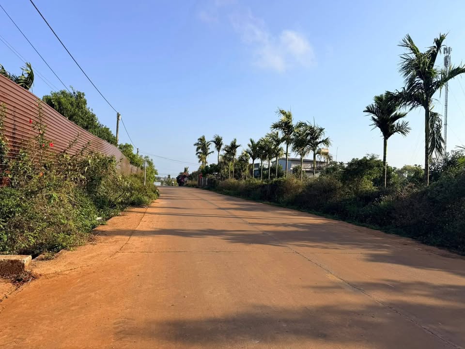 Đất Mặt Tiền 1500m² Kinh Doanh Cực Tốt - Krông Năng, Đắk Lắk