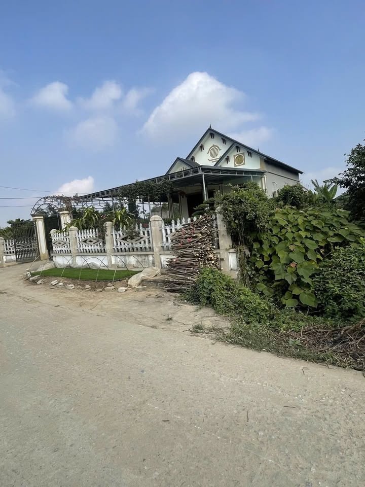 Bán Gấp 2 Lô Đất Thổ Cư 105m² Đông Sơn, Thanh Hóa - Sổ Đỏ Sẵn Sàng