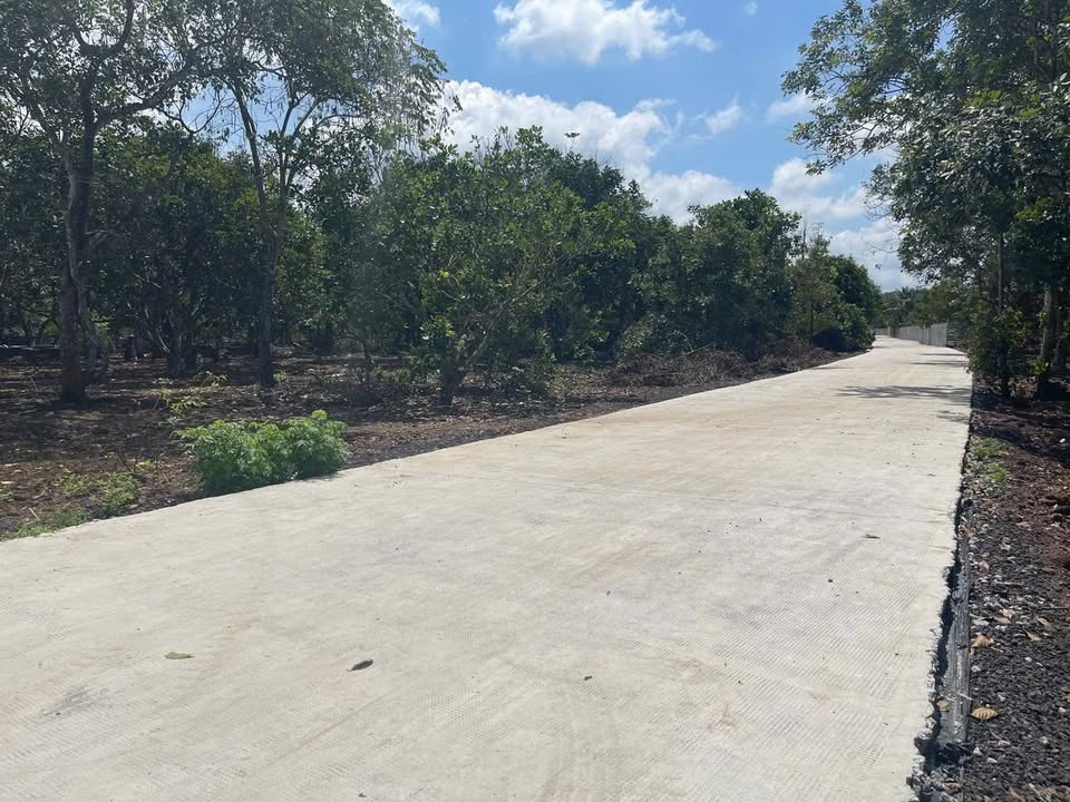 Đất Phường Xuân Lập Long Khánh 184m² Sổ Riêng - Cơ Hội Đầu Tư Vàng