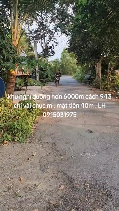 Bán Đất Nền 6000m² An Giang - Sổ Đỏ, Mặt Tiền Lộ Nhựa 40m