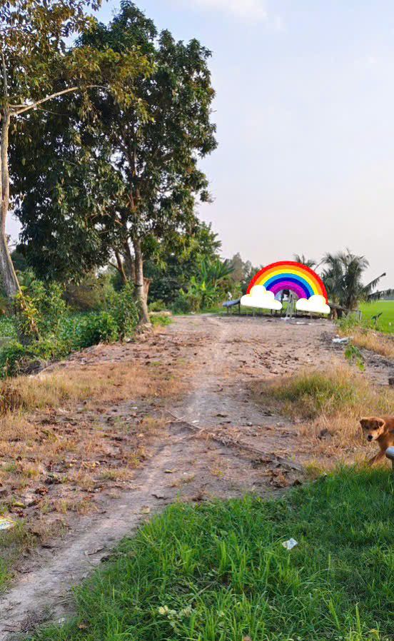 Đất Vườn An Giang 21.000m² - Hai Mặt Tiền Kênh, Sẵn Sàng Đầu Tư