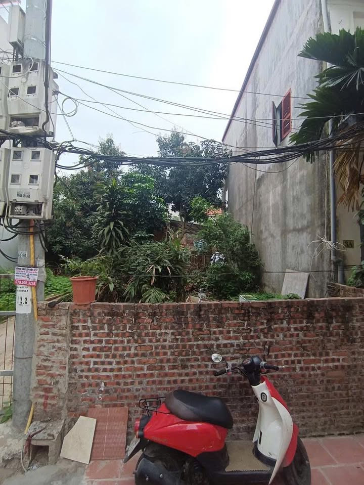 Đất nền Long Biên 53m² - Ngõ ô tô, giá nhỉnh 5 tỷ - Sẵn sổ hồng