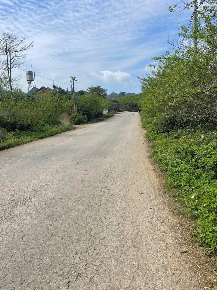 Đất Nền Mộc Châu 85m² - Trung Tâm KDL Chiềng Đi Thái - Giá 1.3 Tỷ