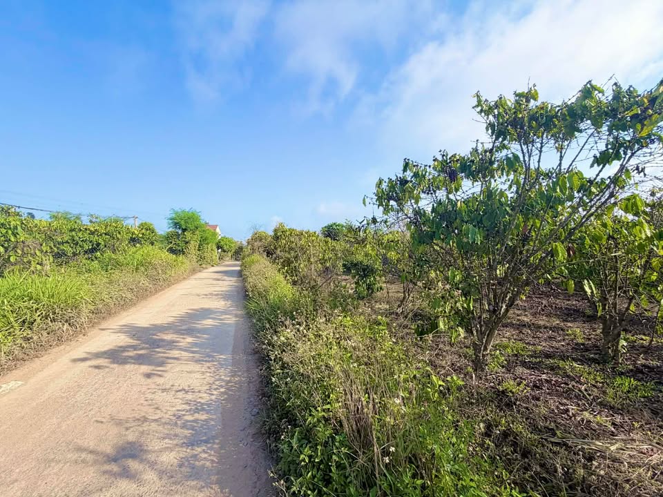 Đất Vườn 720m² Mặt Đường Bê Tông Krông Nô - Giá 670 Triệu