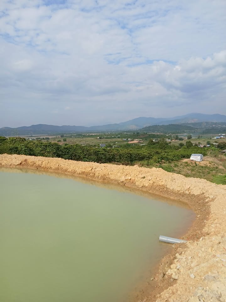 Bán Đất Vườn Cà Phê 1.4ha Giá 1.9 Tỷ Tại Quảng Hòa, Đắk Nông