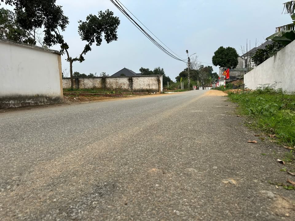 Đất Lô Góc 2 Mặt Tiền Xuân Mới, Tam Dương - 100m² Kinh Doanh Tốt