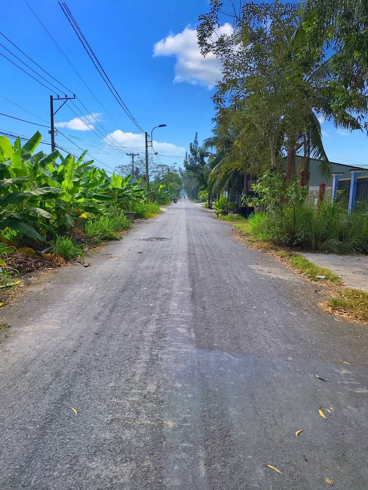 Nhà Cấp 4 Tân Nhựt 299m² - Sổ Riêng, Giá 7 Tỷ TL