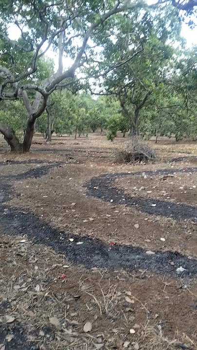 Bán Đất Vườn Đắk Ơ, Đồng Nai - 7000m² Giá 1.2 Tỷ