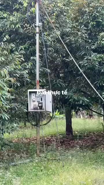 Bán 5000m² Đất Vườn Sầu Riêng Gia Kiệm, Đồng Nai - Sổ Riêng, Giá Đầu Tư 1.1 Tỷ/Sào