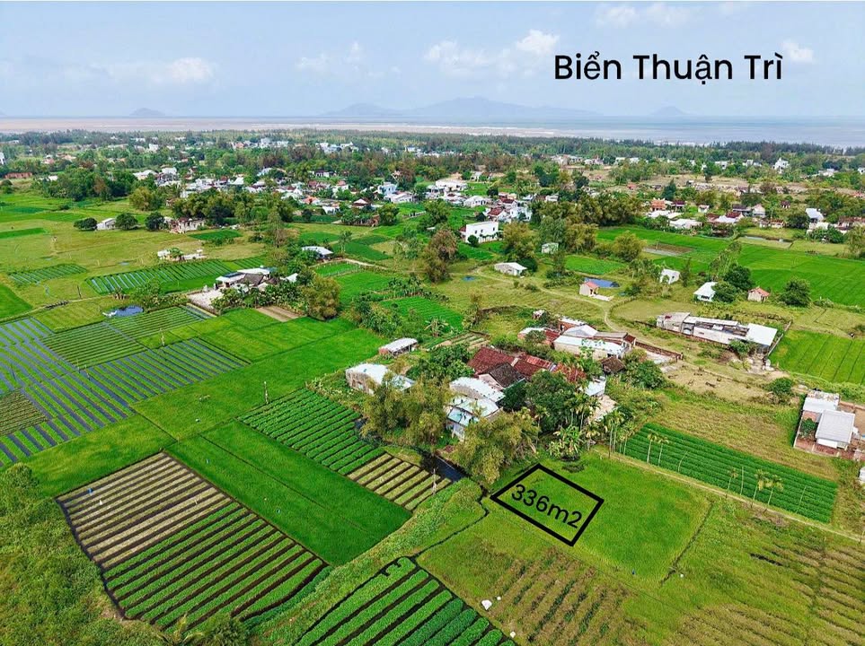 Đất Biển Duy Hải Quảng Nam 336m² Sổ Hồng Sẵn Sàng - Giá Đầu Tư 2 Tỷ