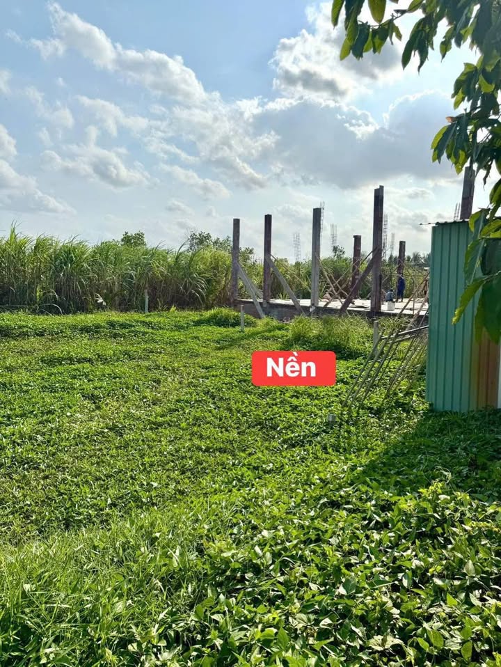 Bán Nền Phường Bình Minh, Ninh Kiều - 104.5m² Giá 399 Triệu