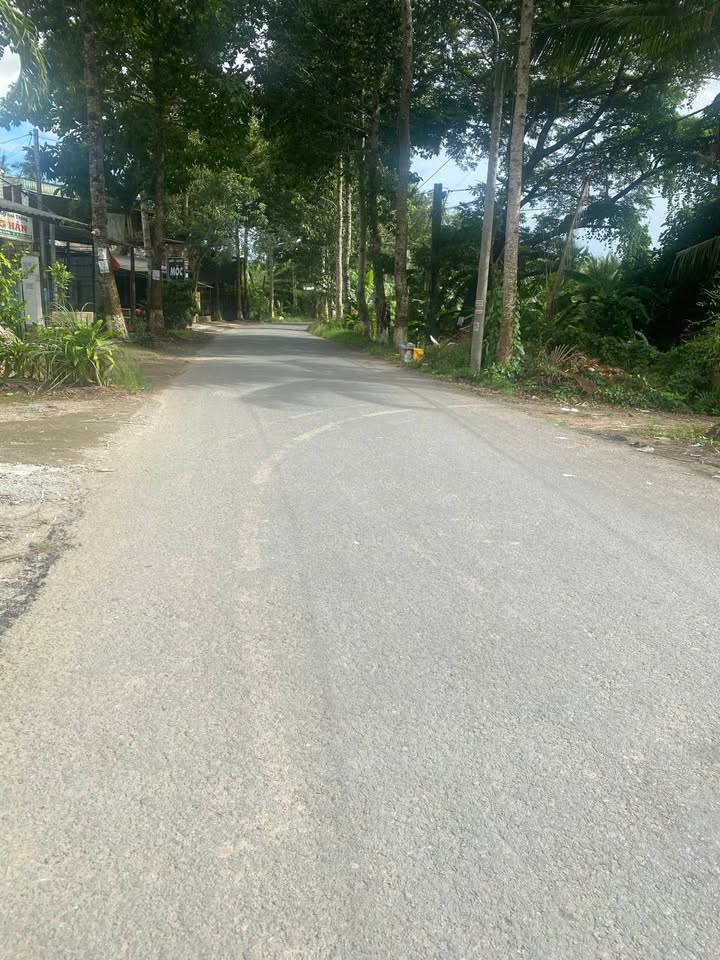 Bán Gấp Cặp Nền 189m² Đường Huỳnh Thị Nở, Cần Thơ - Sổ Hồng Riêng