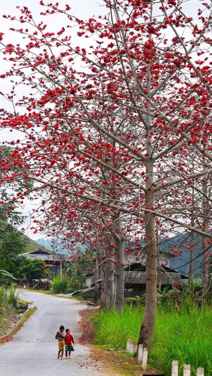 Nhà LK HUD Vân Canh 100m² - Kinh doanh/Văn phòng/Ở - 17 Tỷ