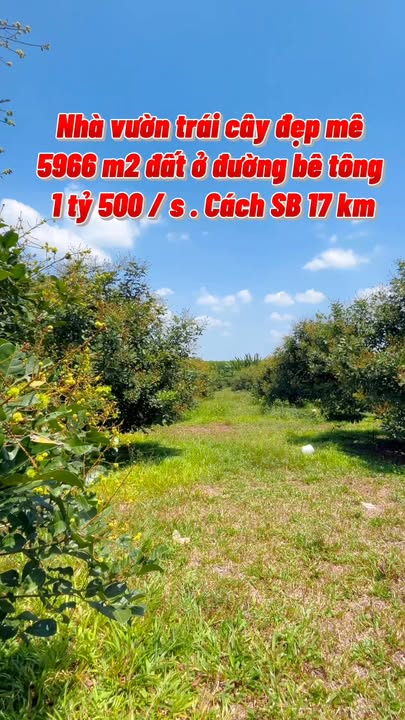 Bán Gấp Đất Vườn 4966m² Đồng Nai - View Sầu Riêng, Sát KCN, Cách sân bay Long Thành 17km