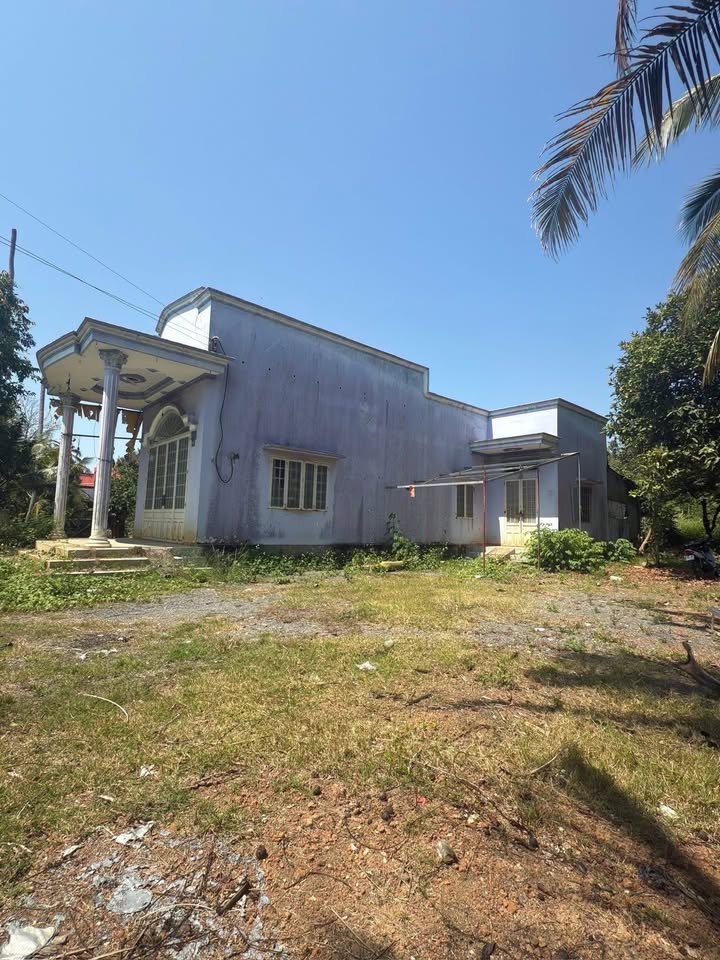 Đất Vườn Nghỉ Dưỡng 6300m² Sổ Hồng ONT Tại Trà Cổ, Đồng Nai - Giá Đầu Tư 3.95 Tỷ