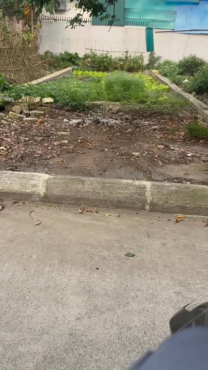 Đất nền 105m² Phú Nghĩa, Chương Mỹ - Hơn 3 tỷ, ô tô vào tận nơi