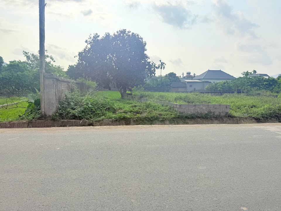 Đất Nền 81m² Trục Chính KCN Lương Sơn - Sổ Hồng Sẵn Sàng