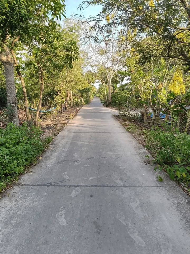 Đất Nền 156m² Đường Rạch Thăng, Bạc Liêu - Sổ Hồng, Giá 380 Triệu