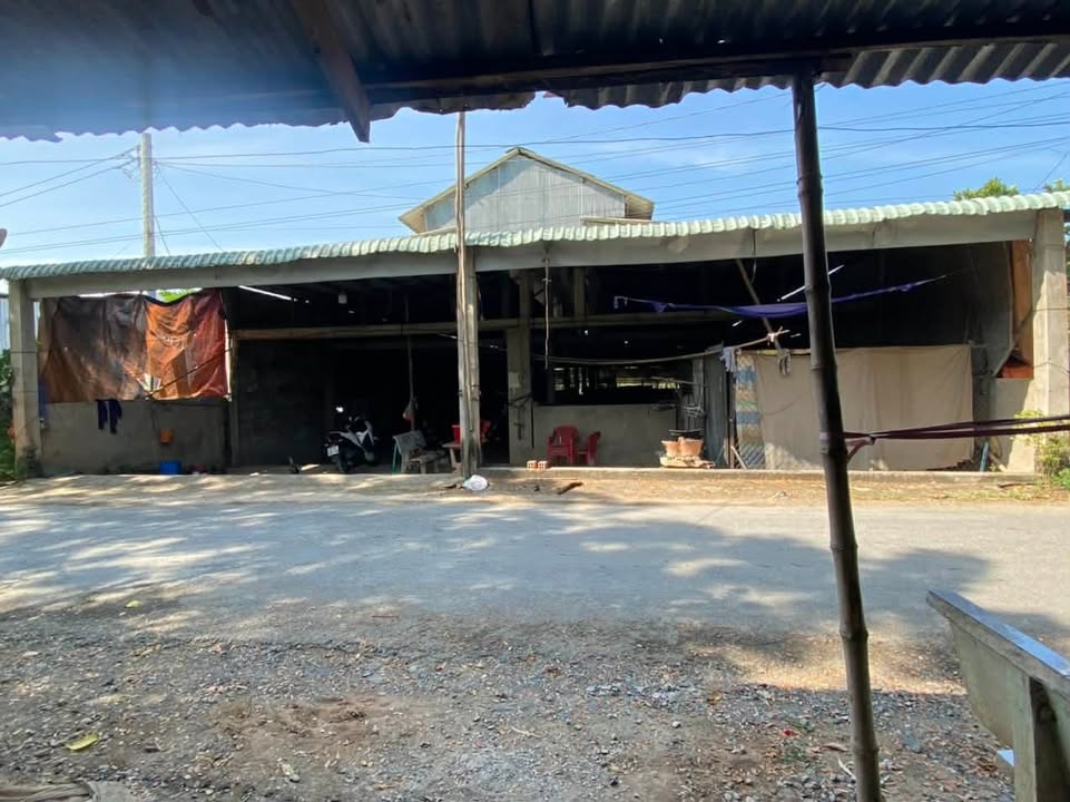 Bán Gấp Kho Xưởng 800m² Mặt Tiền 14m, An Giang - Giá 1.x Tỷ