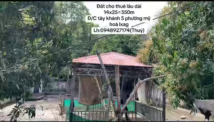 Cho thuê đất 337m² Phường Mỹ Hòa, Long Xuyên - Phù hợp kho, cafe sân vườn