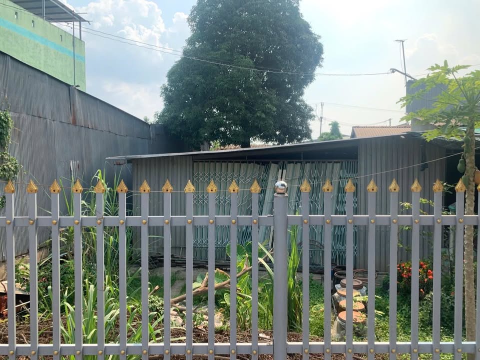 Đất nền QL 54, Lấp Vò, Đồng Tháp - 400m² Gần Chợ Định Yên