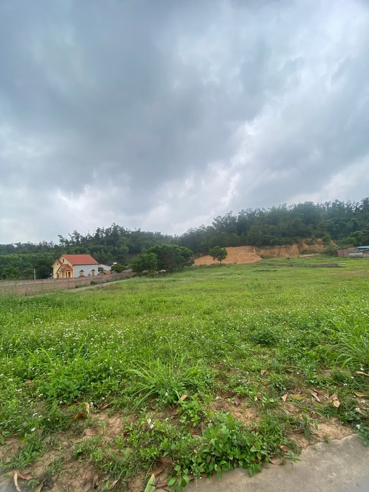 Đất thổ cư 1600m² mặt tiền 40m tại Chí Linh, Hải Dương - Giá 3.2 tỷ